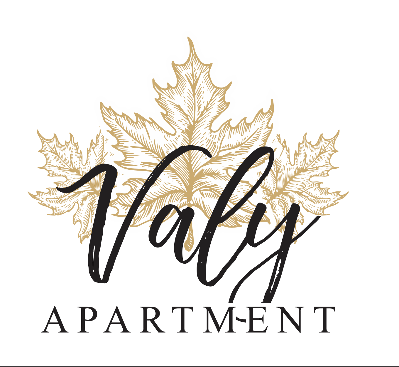 Apartment Valy logo